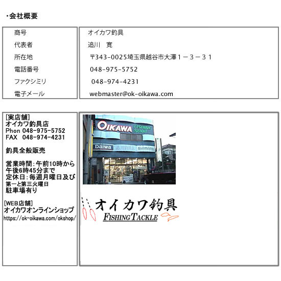 �I�C�J���ދ�T�v